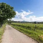 Tenuta Naiano Leonardo Cavaion Veronese