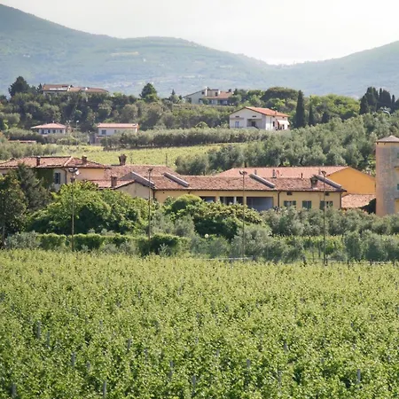 Tenuta Naiano Leonardo *