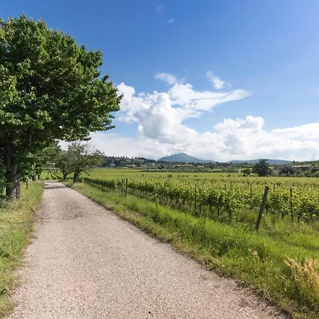 Tenuta Naiano Leonardo Cavaion Veronese